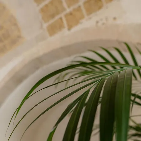 Dame' Hébergement de vacances